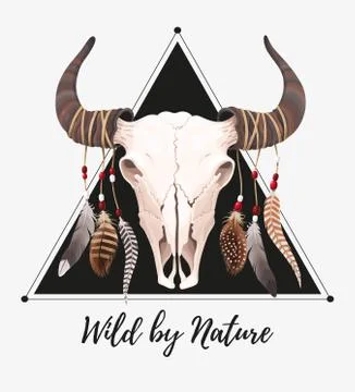 Buffalo skull with feathers Stock Illustration