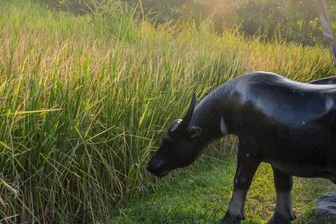 Buffalo statue in the park Foto stock