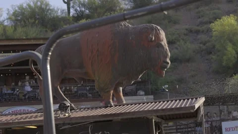 Buffalo statue rodeo Stock Footage 245511970