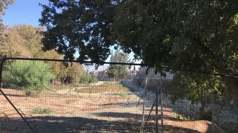 Buffer Zone in Nicosia Video stock 95623083