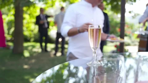 Buffet in a garden. Stock Footage 276606568