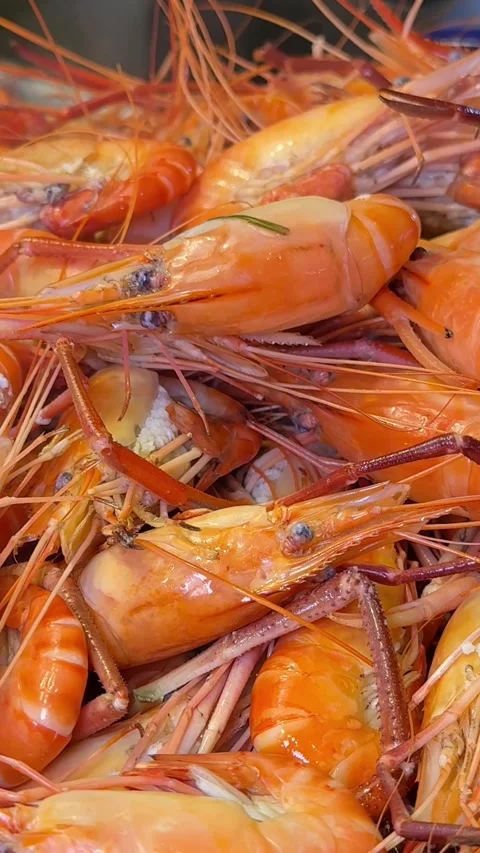 Buffet large selection of dishes asia seafood Top view of raw whole tiger prawns Stock Footage 311871070