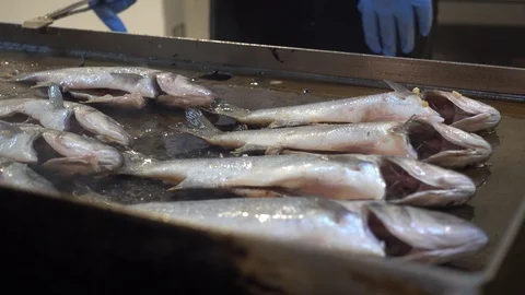 Buffet restaurant. Fish is fried on a large stove. Stock Footage 92780811
