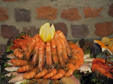 Buffet: shrimp lying on the plate Vidéo 81532963