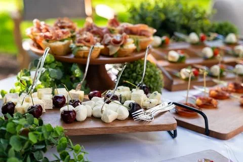 Buffet spread features cheese fruits and appetizers during outdoor gatherin.. Stock Photos