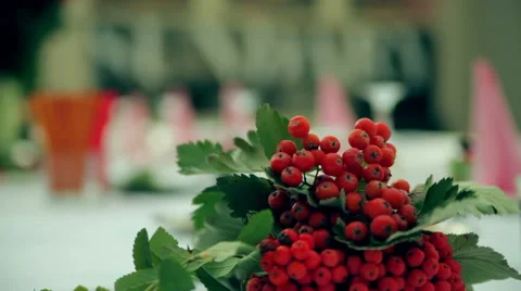 Buffet Table 動画素材 55583248