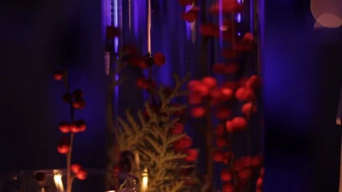 Buffet table with glasses of delicious red wine. Video stock 126265210