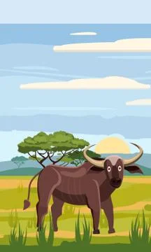 Bufffolo cute cartoon style in background savannah Africa, isolated, vector Stock Illustration