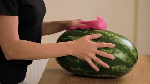 Buffing watermelon surface with pink cloth. Rubbing smooth rind to dry moisture. Stock Footage 324960838
