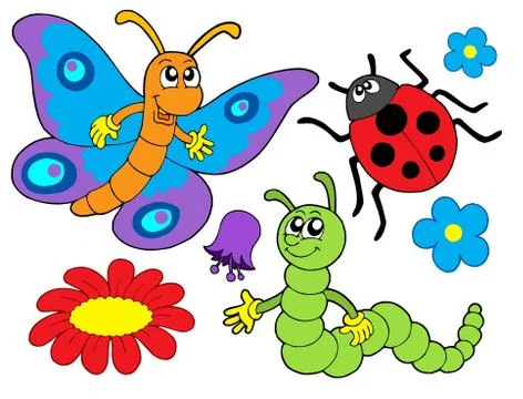 Bug and flower illustration Stock Illustration