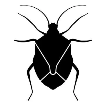 Bug Bedbug Chinch True bugs Hemipterans Insect pest icon black color vector i Stock Illustration