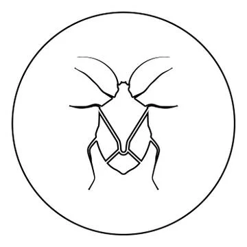 Bug Bedbug Chinch True bugs Hemipterans Insect pest icon in circle round outl Stock Illustration