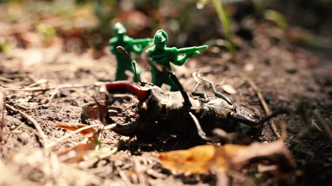 Bug. Beetle and plastic toy soldiers. Stock Footage 164181856
