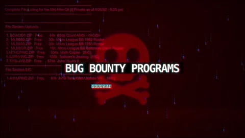 Bug Bounty Programs Warning Text on hacking background screen Stock Footage 317054645