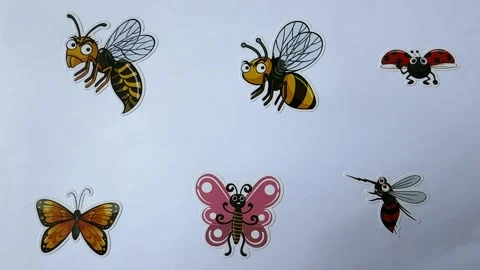 Bug Cartoon Character Stickers on White Background Stock Footage 312861116