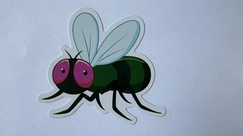 Bug Cartoon Character Stickers on White Background Vidéo 312861336
