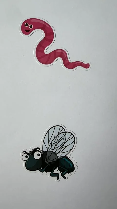 Bug Cartoon Character Stickers on White Background for Kids Editorial Use Stock Footage 312864648