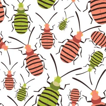 Bug colorful seamless pattern on white. Insect summer background Stock Illustration