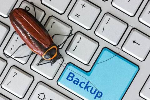 Bug on the computer keybord Bug on the computer keybord with backup key fo... Stock Photos