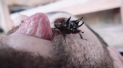 Bug crawling on man face Stock Footage 66691038