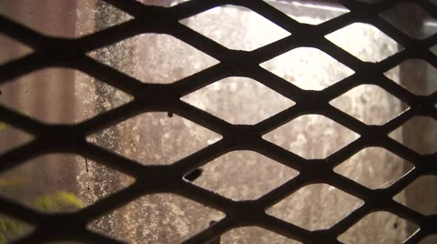 Bug Crawls On Prison Window Behind Bars Stock Footage 53089904