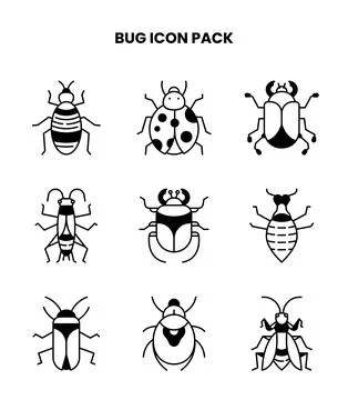 Bug DuoTone Icons Pack Stock Illustration