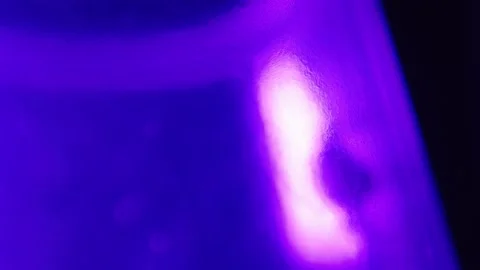 Bug Exploring In Futuristic Violet Light  Stock Footage 205539434