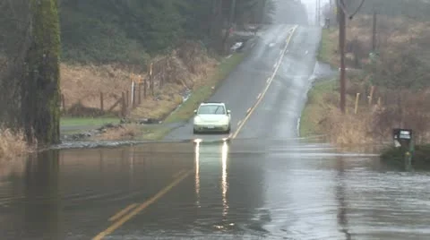 Bug flood Stock Footage 20543242