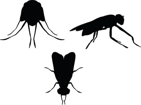 Bug fly silhouette Stock Illustration