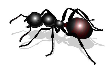 Bug - forest ant Stock Illustration