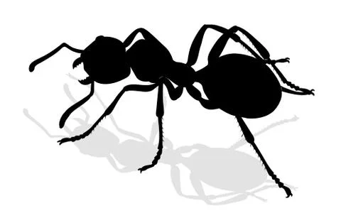 Bug - forest ant Illustrazione stock
