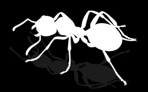 Bug - forest ant Stock Illustration