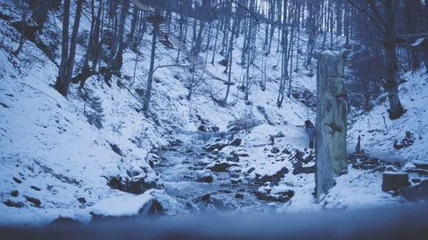 A bug forest, covered in snow. A river flows in the middle. Video stock 126724195