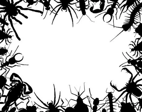 Bug frame Stock Illustration