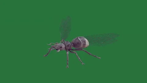 A bug on green screen and layers cartoonish gesture depth design frame emotion Stock Footage 335147445
