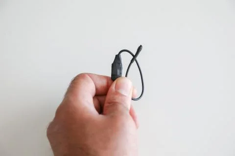 Bug is held between the fingers of one hand by a technician Stock Photos