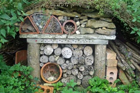 Bug hotel Stock Photos