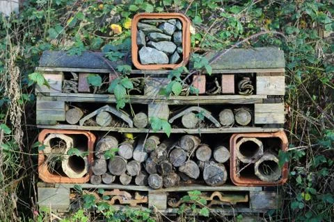 Bug hotel Stock Photos