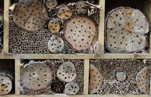 Bug hotel Stock Photos