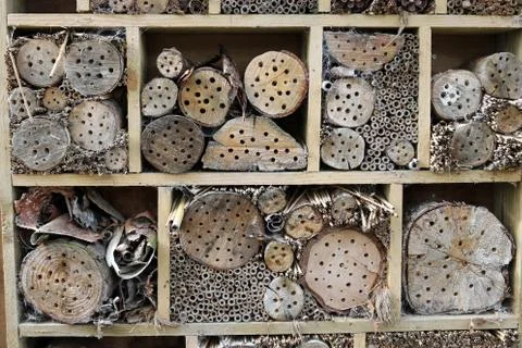 Bug hotel Stock Photos