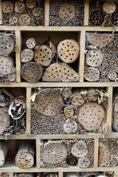 Bug hotel Stock Photos