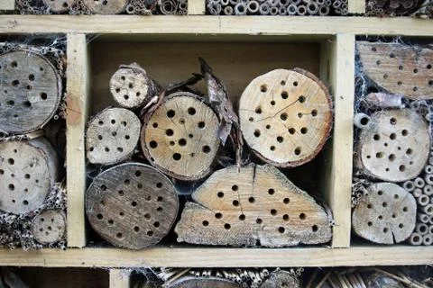 Bug hotel Stock Photos