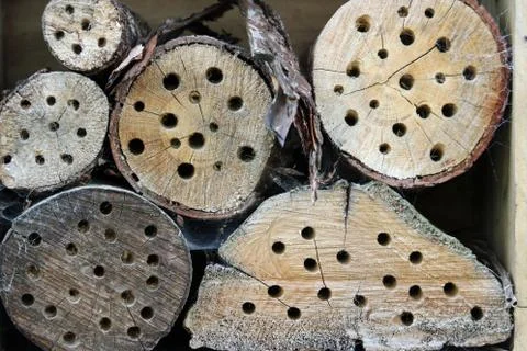 Bug hotel Stock Photos