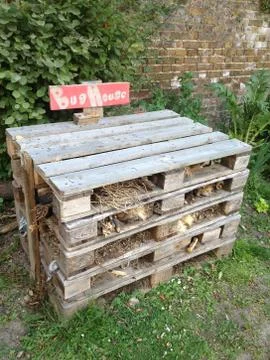 Bug house 写真素材