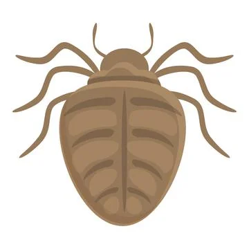 Bug icon cartoon vector. Insect beetle Stock Illustration
