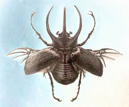 BUG Illustrazione stock