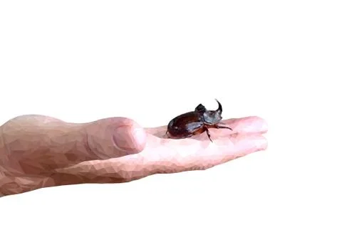 Bug Stock Illustration