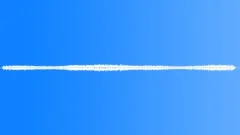 Bug Infestation Sound Effect