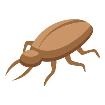 Bug insect icon isometric vector. Pupa transformation Stockillustratie
