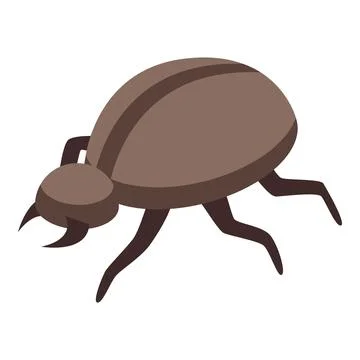 Bug insect icon isometric vector. Stage pupation silk Stockillustratie
